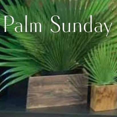 palm sunday photo